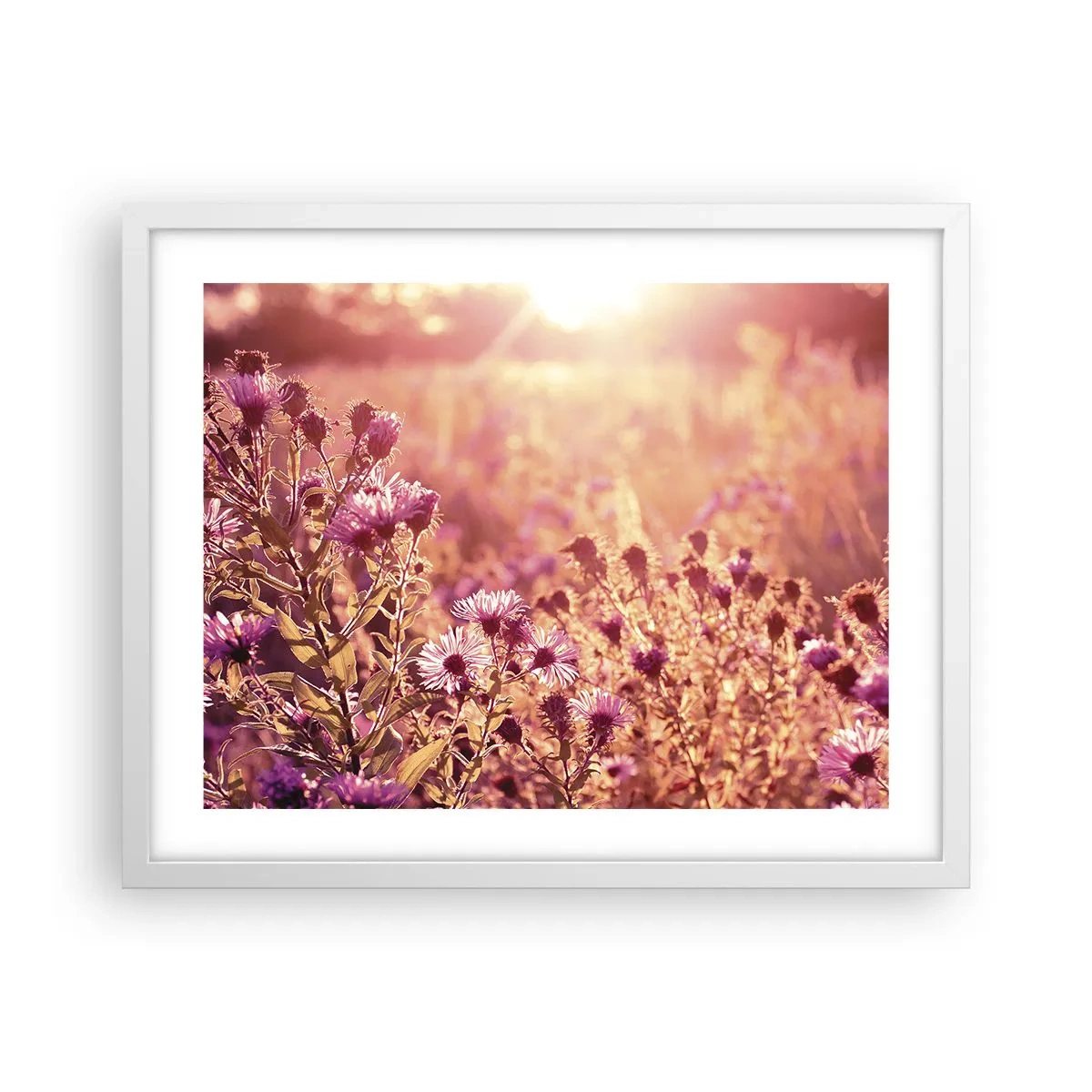 Plagát v bielom ráme - Než skončí leto - 50x40 cm