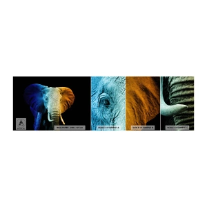 Vzorka samolepiacej fototapety Deluxe Sticker - Excentrický muž, avšak nie podivín - Abstrakcia, Slon, Zvieratá - 100x30 cm