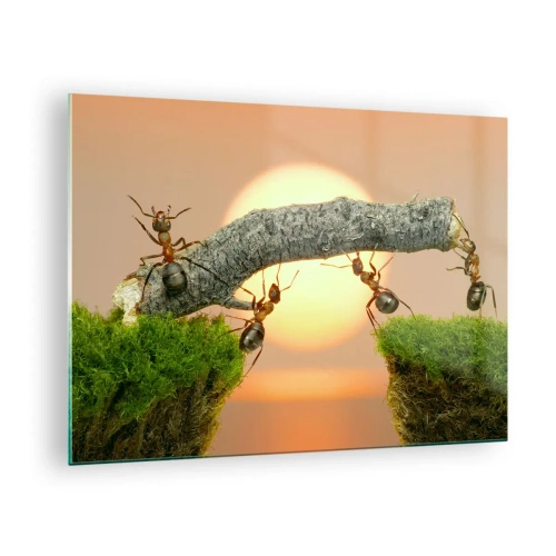 Obraz na skle - Mravce stavajú most pri západe slnka - 70x50cm - Radostná, spoločná práca - Moderná nástenná dekorácia do obývacej izby a spálne ARTTOR