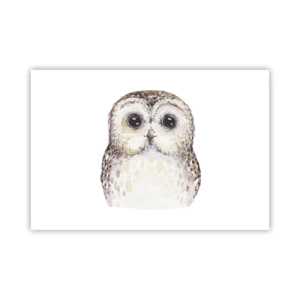 Plagát - Pozri sa mi do očí - 91x61 cm