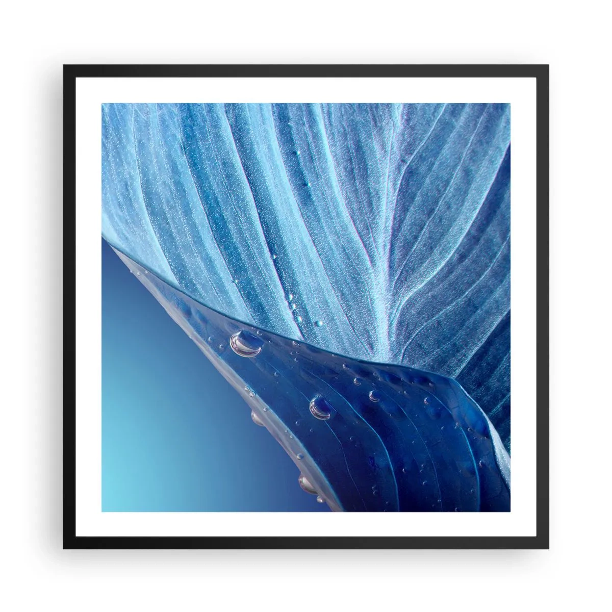 Plagát v čiernom ráme - Skryté kvapky modrej - 60x60 cm