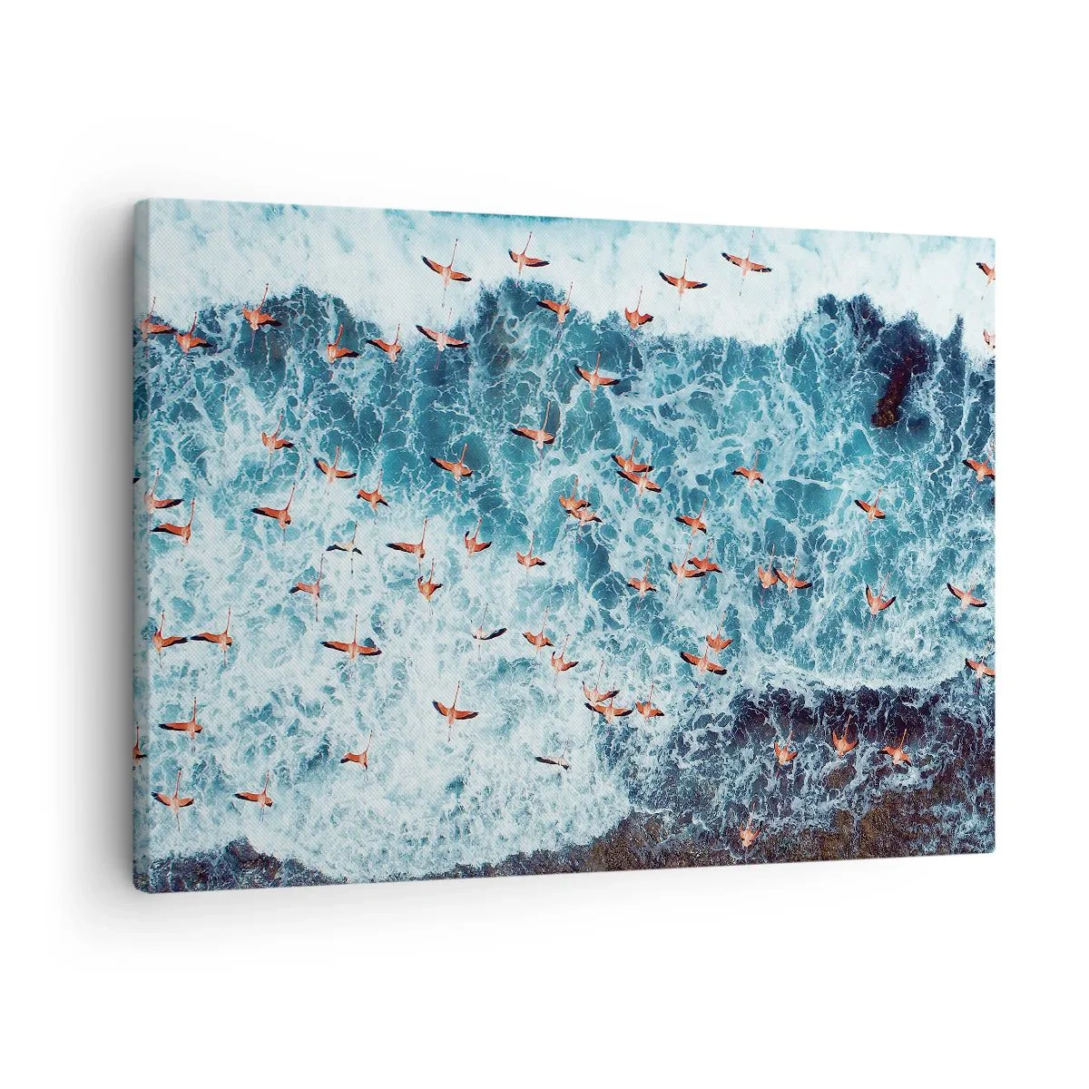Obraz na plátne - Pohľad z vtáčej perspektívy na ružové plameniaky nad modrým oceánom - 70x50cm - Prímorský sprievod - Moderná nástenná dekorácia do obývacej izby a spálne ARTTOR