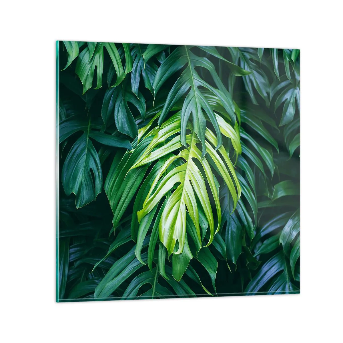 Obraz na skle - Ponoriť sa do sviežosti - 50x50 cm