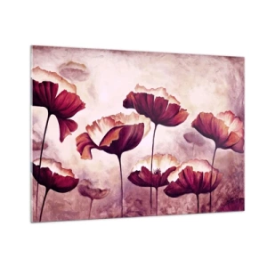 Obraz na skle - Červený a biely plátok - 100x70 cm