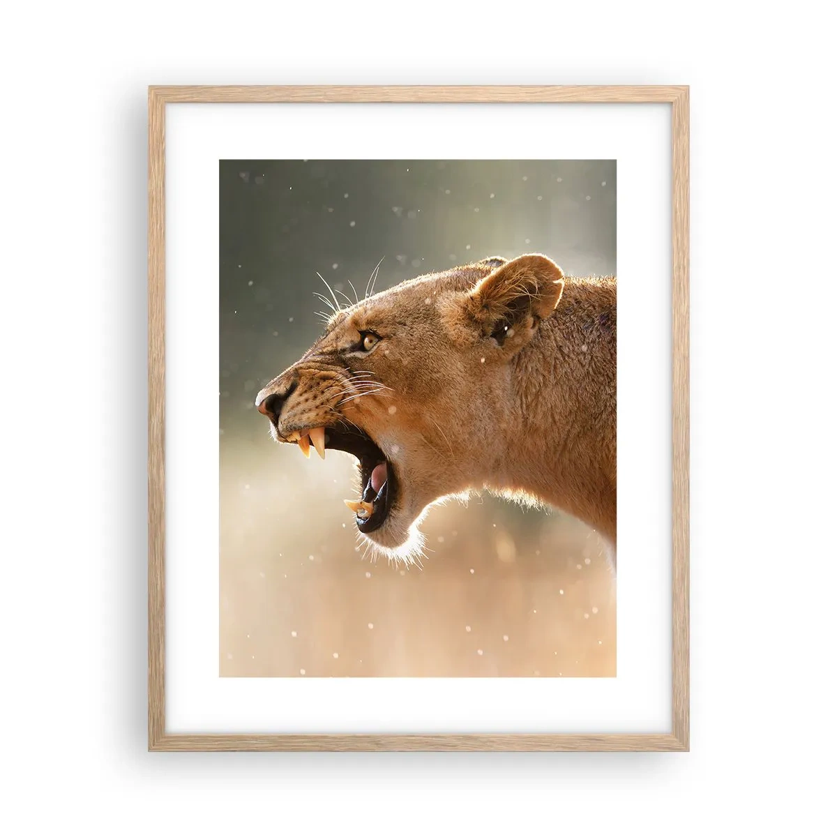 Plagát v ráme zo svetlého duba - Snaž sa nepočúvať - 40x50 cm