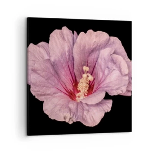 Obraz na plátne - Priamo do srdca - 60x60 cm