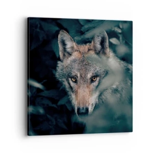 Obraz na plátne - Predátor - 40x40 cm