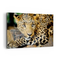 100x70 cm | Vodorovný