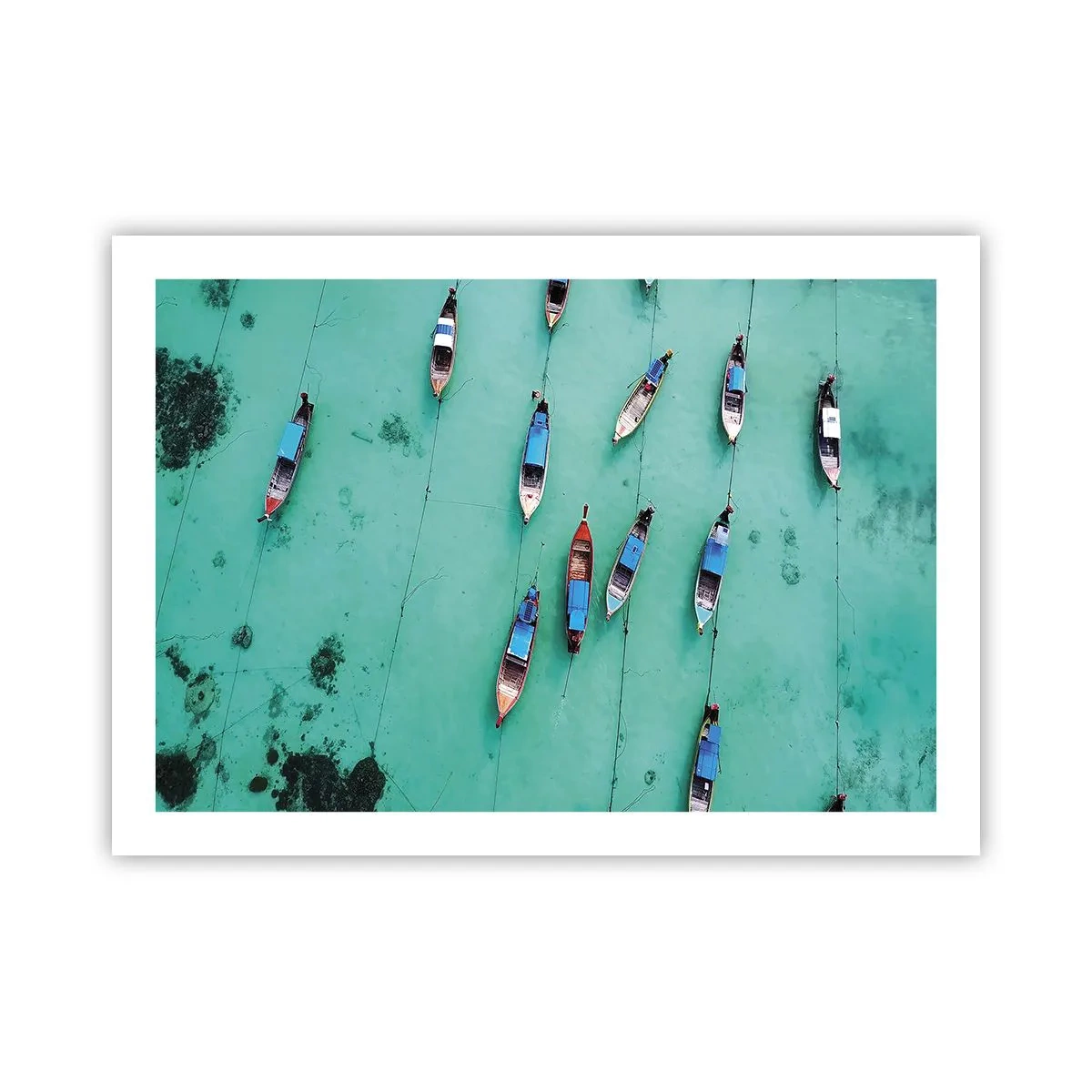 Plagát - V radostnom očakávaní - 70x50 cm