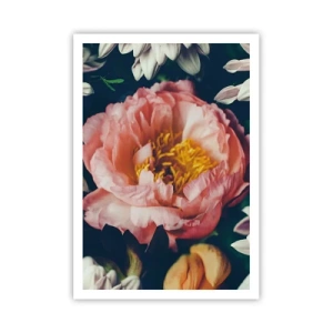 Plagát - S barokovým prepychom - 70x100 cm