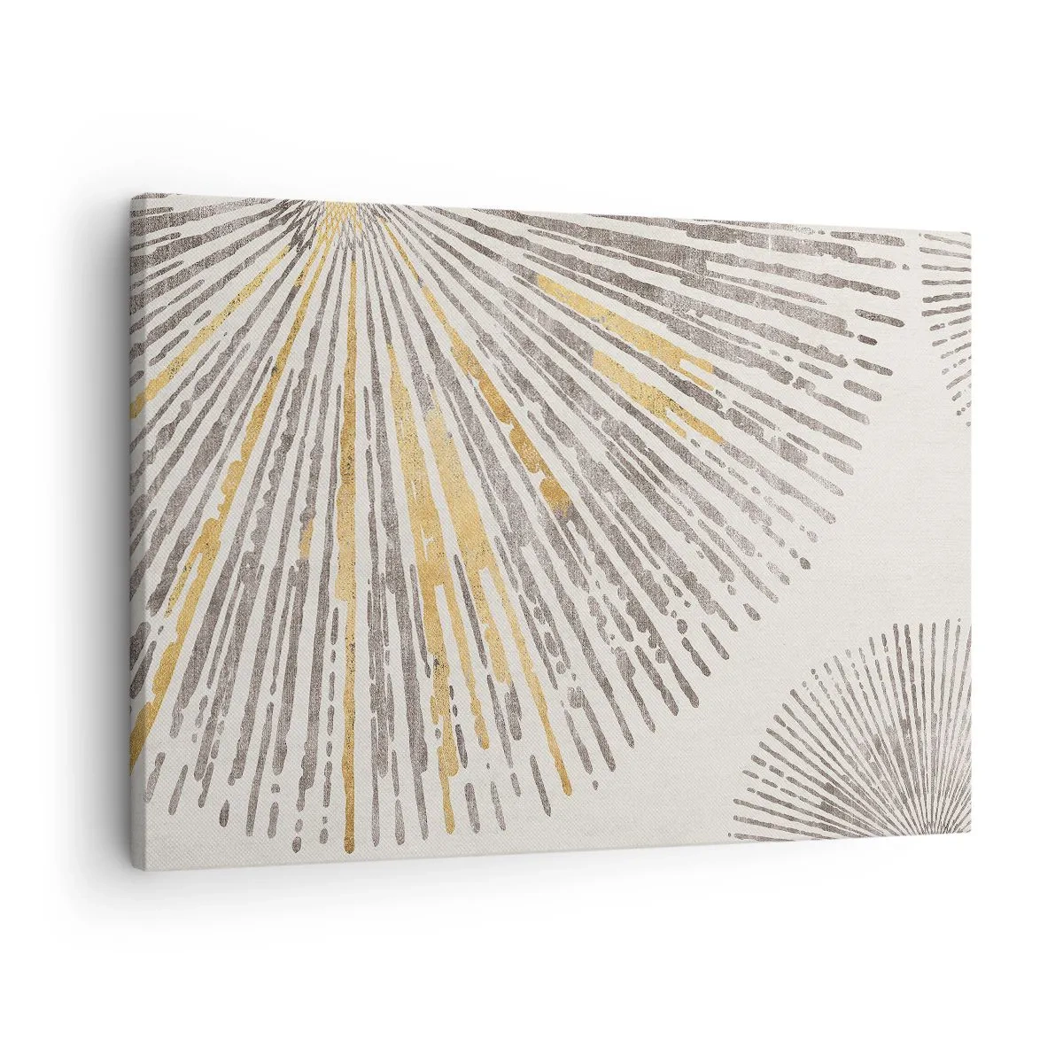 Obraz na plátne - Abstraktný vzor v tvare lúča - 70x50cm - Krása lúča - Moderná nástenná dekorácia do obývacej izby a spálne ARTTOR