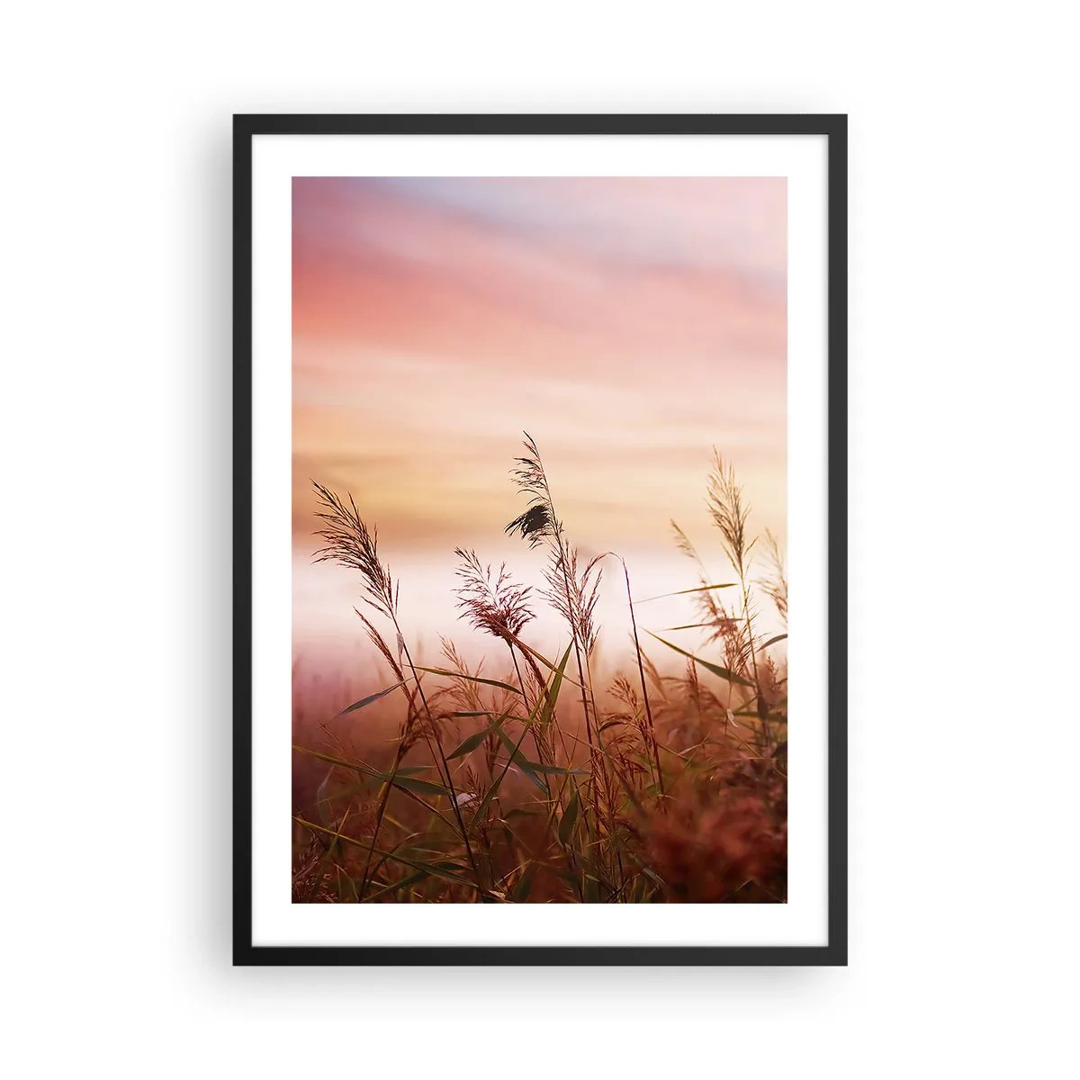 Plagát v čiernom ráme - Trávy proti farebnej oblohe pri západe slnka - 50x70cm - Draci, púpavy a vietor - Moderná nástenná dekorácia do obývacej izby a spálne ARTTOR