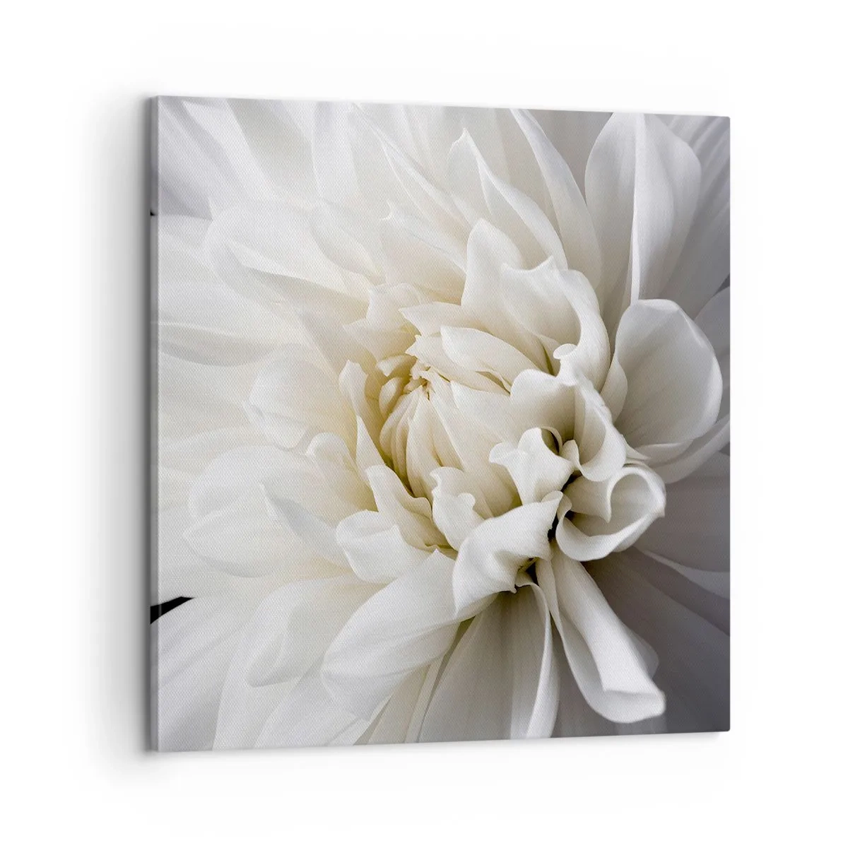 Obraz na plátne - Ráno s nevestou - 60x60 cm