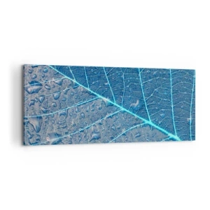 Obraz na plátne - Modrý život - 100x40 cm