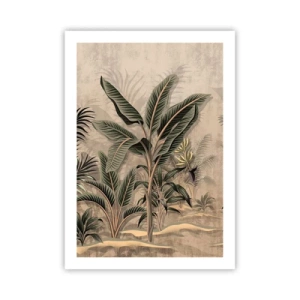 Plagát - Rytina v koloniálnom štýle - 50x70 cm