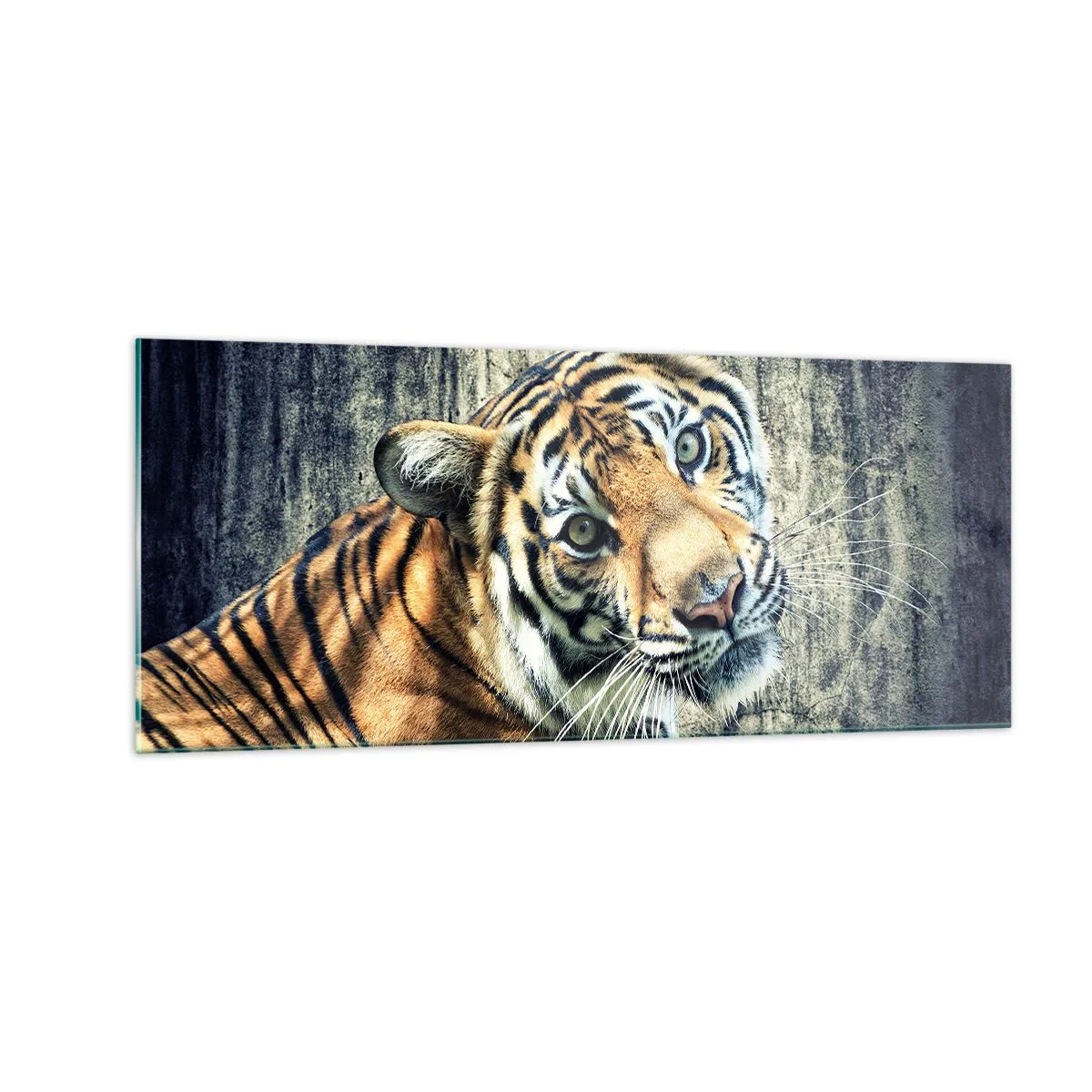 Obraz na skle - Portrét v prameňoch svetla - 100x40 cm