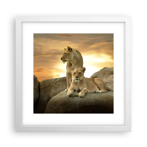 Plagát v bielom ráme - Kráľovský majestát - 30x30 cm
