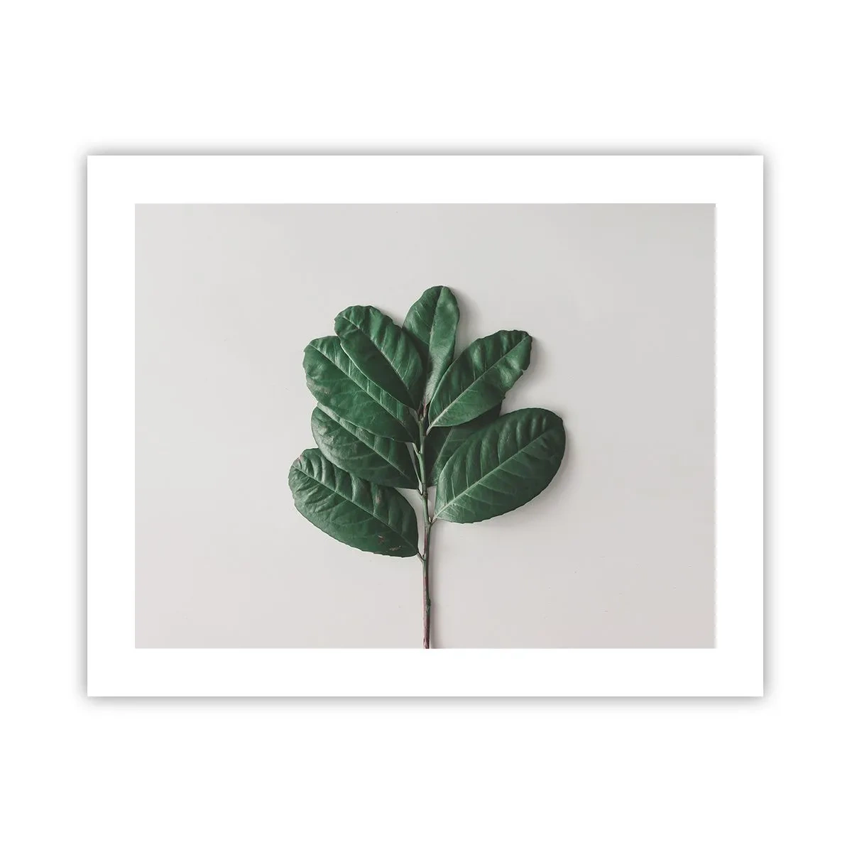 Plagát - Kresba samotnej prírody - 50x40 cm