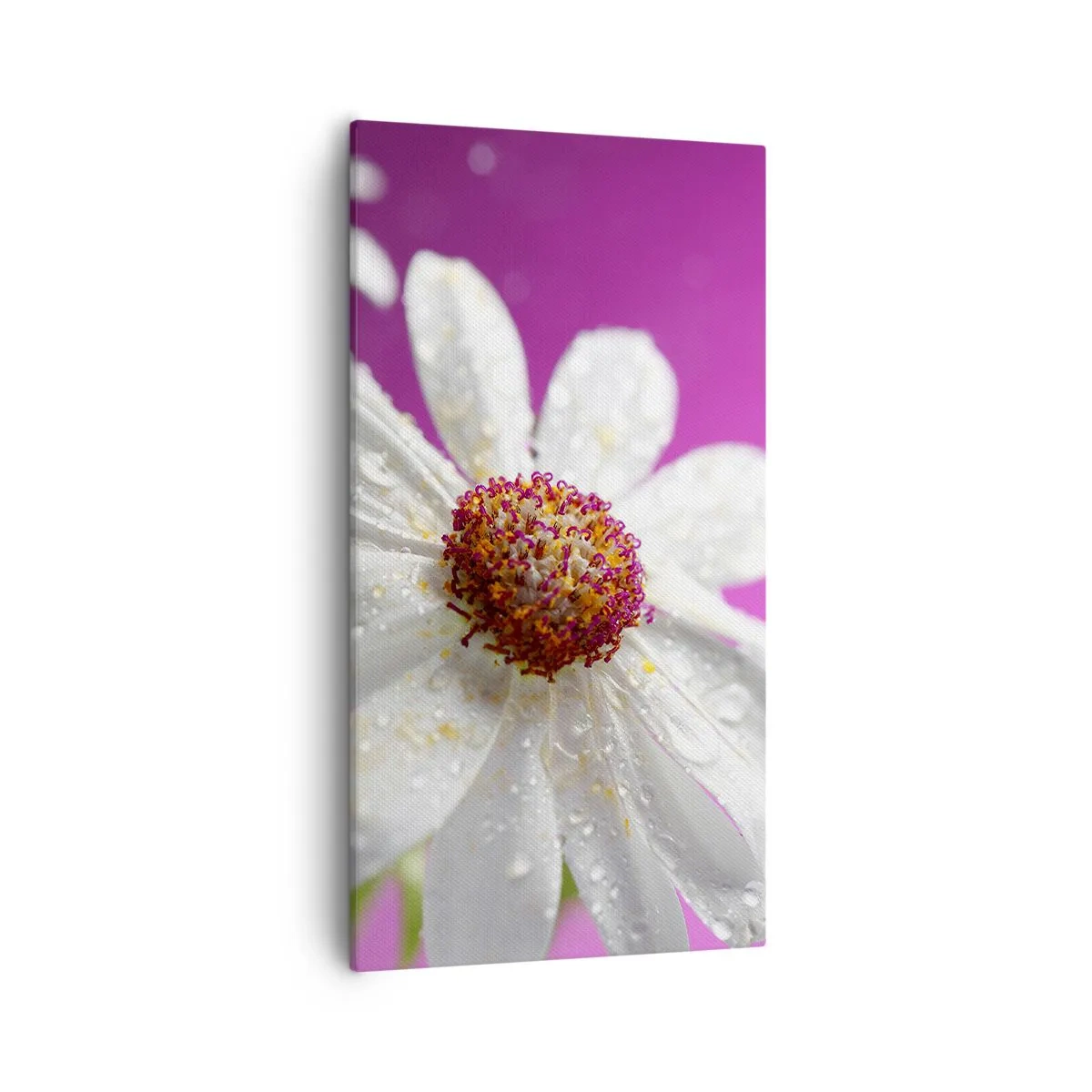 Obraz na plátne - Skromný vo svojej kráse - 55x100 cm