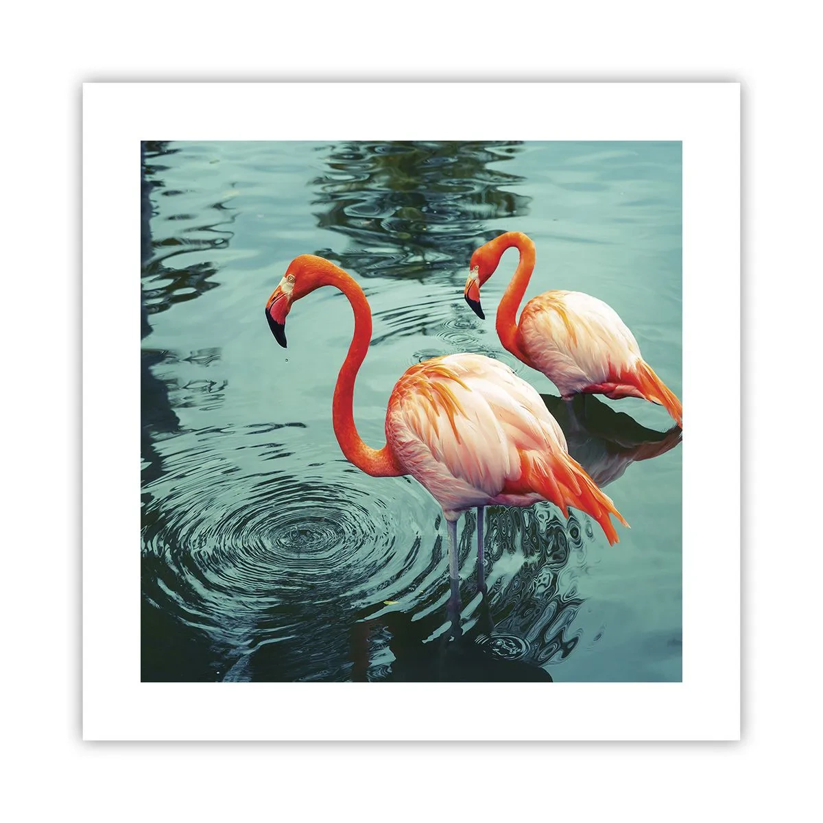 Plagát - Teraz sme v móde - 40x40 cm