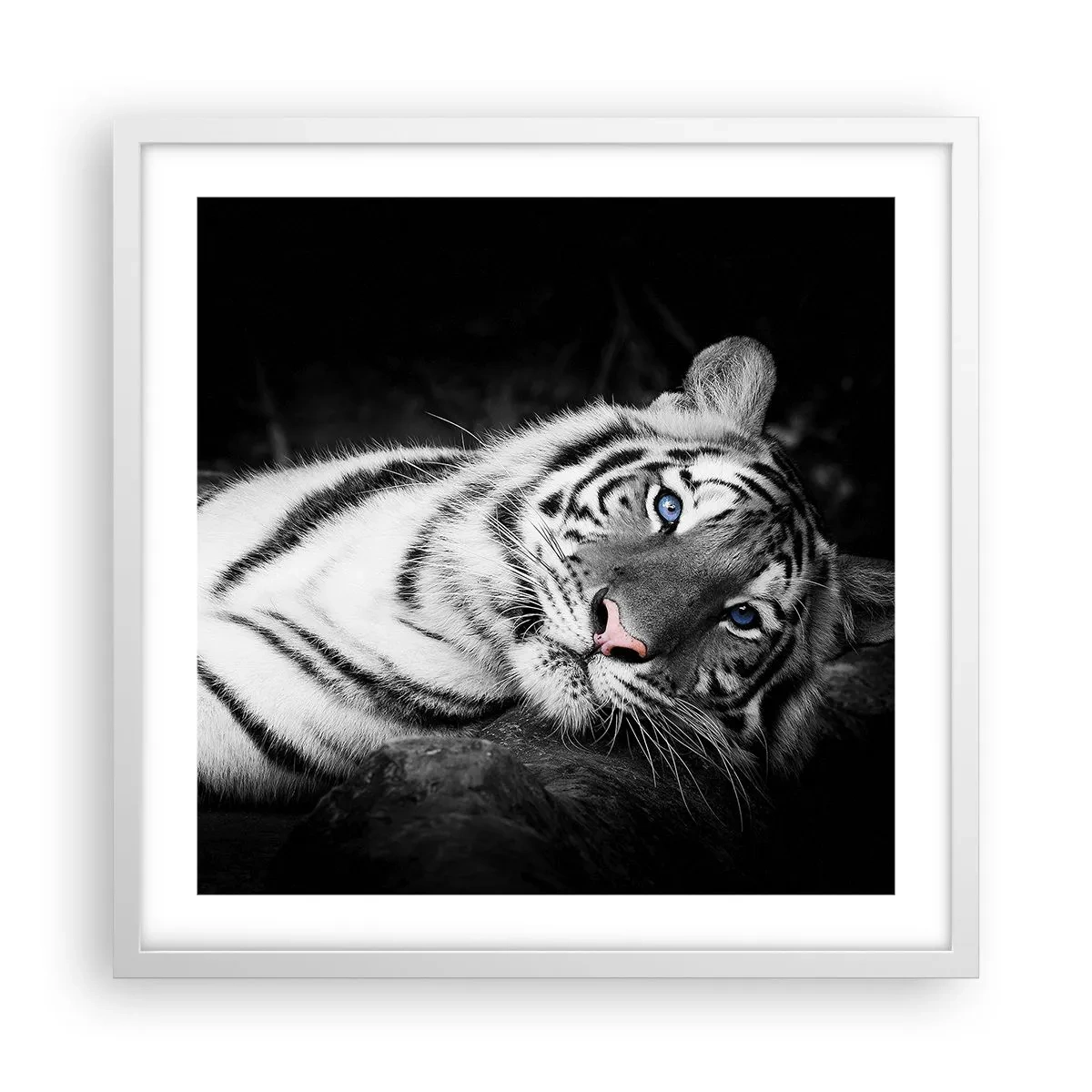 Plagát v bielom ráme - Divočina a pokoj - 50x50 cm