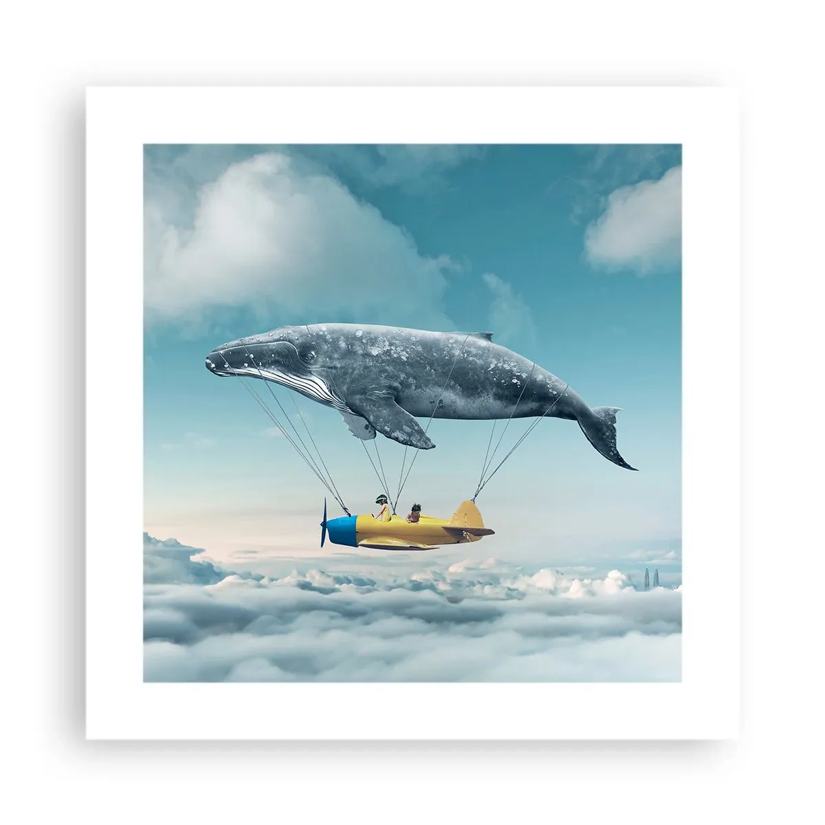 Plagát - Prečo by nie? - 40x40 cm