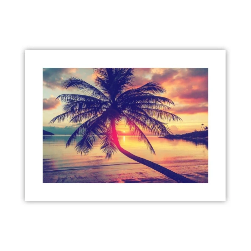 Plagát - Večer pod palmami - 40x30 cm