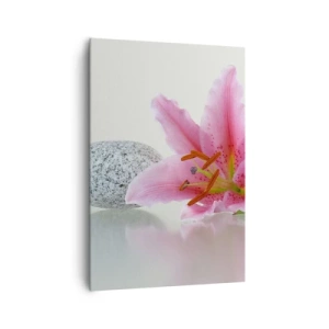 Obraz na plátne - Štúdia v ružovej, šedej a bielej - 70x100 cm