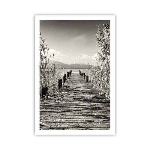 Plagát - V ústraní tráv - 61x91 cm