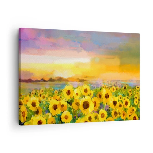 Obraz na plátne - Pole slnečníc vo svetle zapadajúceho slnka - 70x50cm - Samotné slnko zostúpilo na zem - Moderná nástenná dekorácia do obývacej izby a spálne ARTTOR