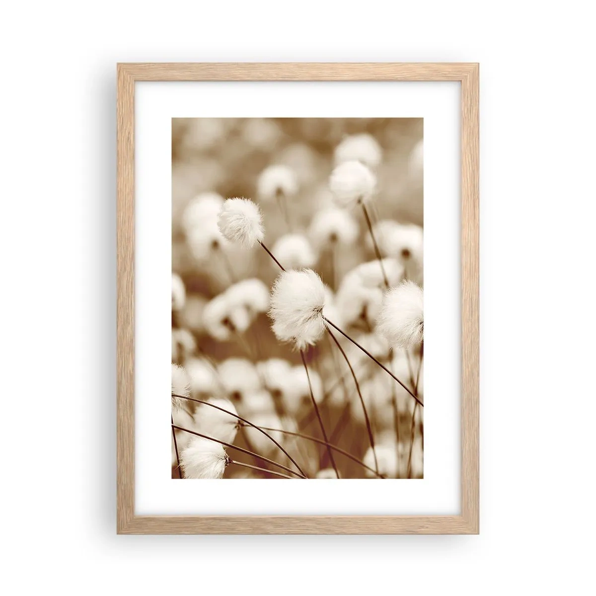 Plagát v ráme zo svetlého duba - Chlpatý lán - 30x40 cm