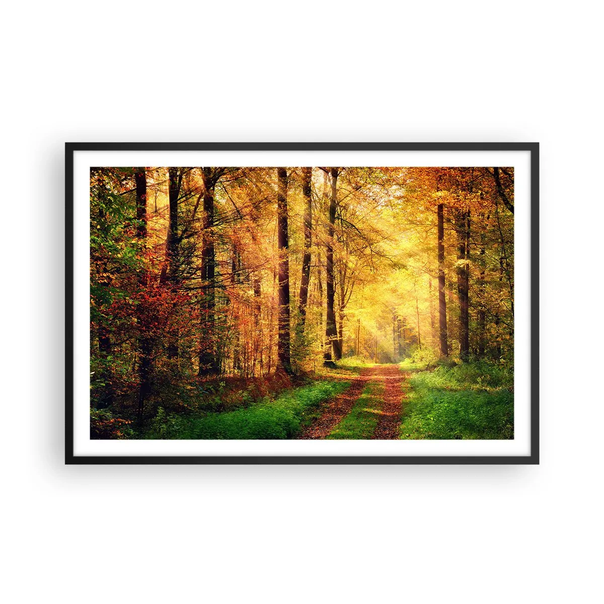 Plagát v čiernom ráme - Lesno-zlaté ticho - 91x61 cm