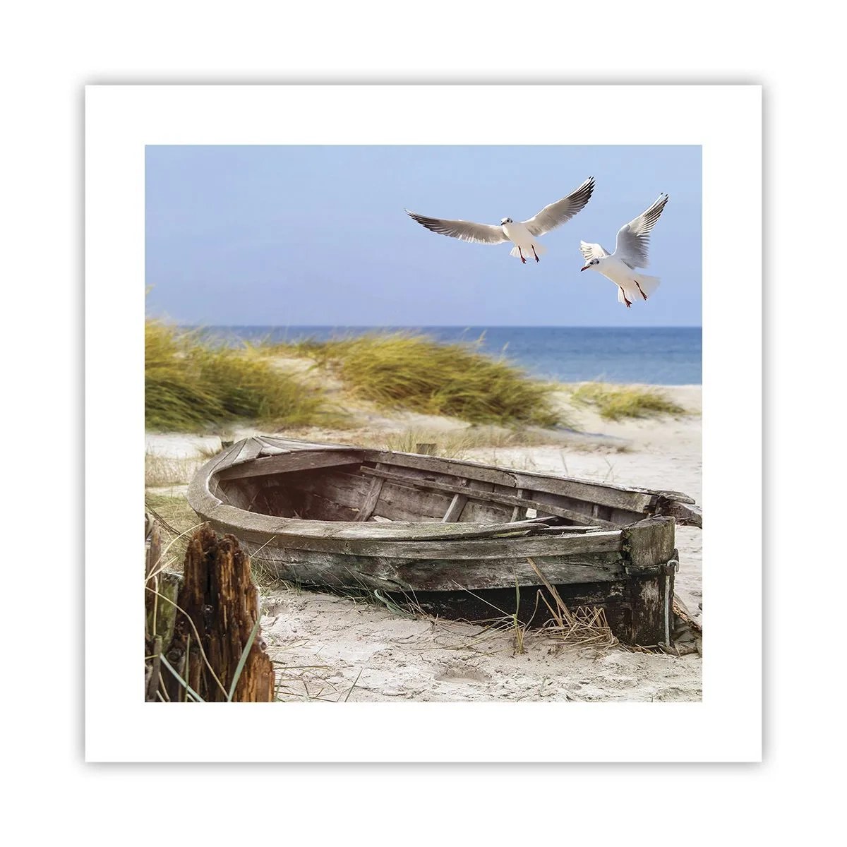 Plagát - Vetrom ožiarené - 40x40 cm