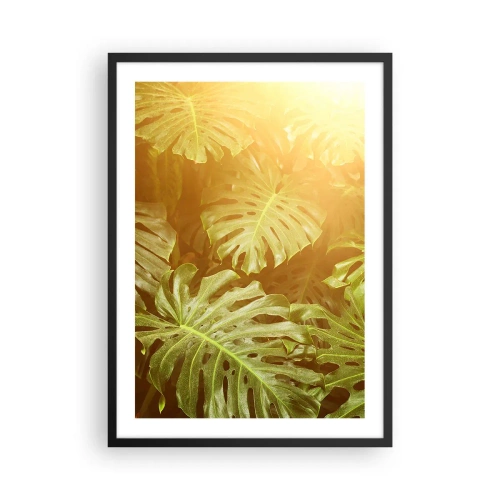 Plagát v čiernom ráme - Listy monstery v slnečných lúčoch vytvárajú tropickú atmosféru - 50x70cm - Vstúpiť do zelene… - Moderná nástenná dekorácia do obývacej izby a spálne ARTTOR