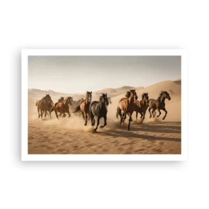 Plagát - Voľné ako vietor - 91x61 cm