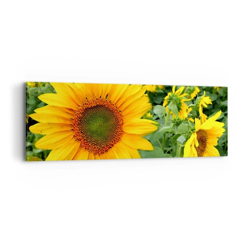 Obraz na plátne - Zahoreli stovky sĺnk - 90x30 cm