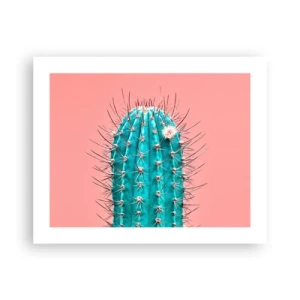 Plagát - Len pozeraj - 50x40 cm