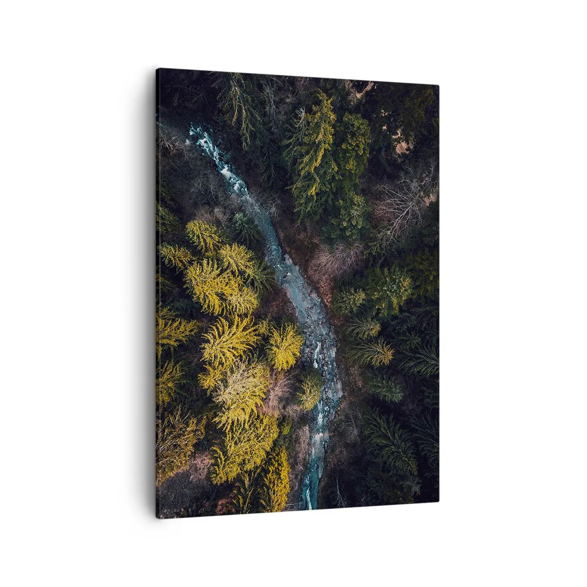 Obraz na plátne - Rýchlo, stále rýchlejšie - 50x70 cm