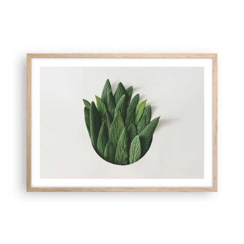 Plagát v ráme zo svetlého duba - Neukojiteľná zvedavosť - 70x50 cm