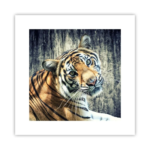 Plagát - Portrét v prameňoch svetla - 30x30 cm