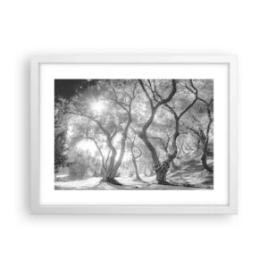 Plagát v bielom ráme - V olivovom háji - 40x30 cm