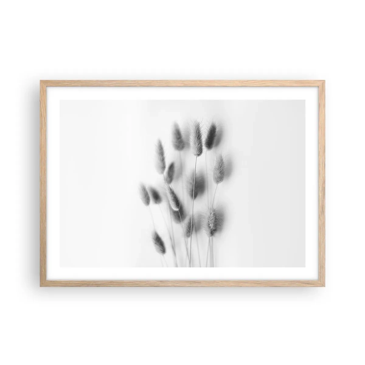 Plagát v ráme zo svetlého duba - Našuchorená tráva - 70x50 cm