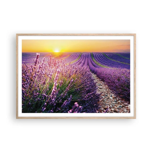 Plagát v ráme zo svetlého duba - Voňavý lán - 100x70 cm