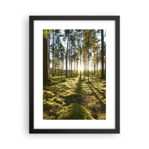 Plagát v čiernom ráme - …Za siedmimi lesmi - 30x40 cm