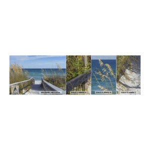Vzorka fototapety Premium Sand - Na slnku, vo vetre - Krajina, Morská duna, More - 100x30 cm