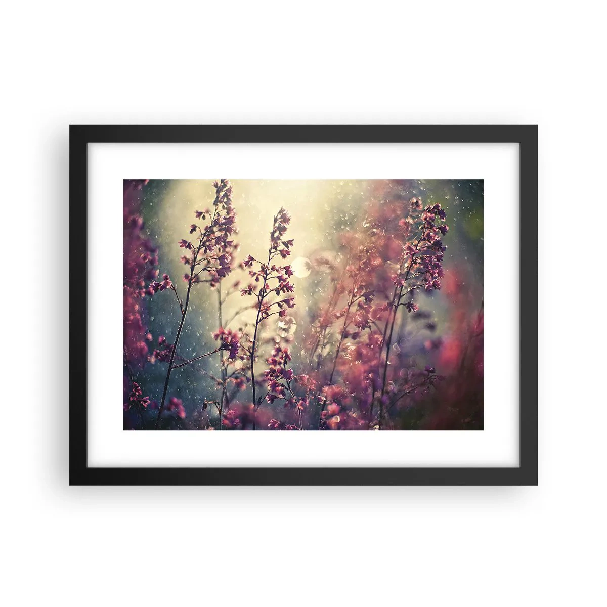 Plagát v čiernom ráme - Tajná záhrada - 40x30 cm