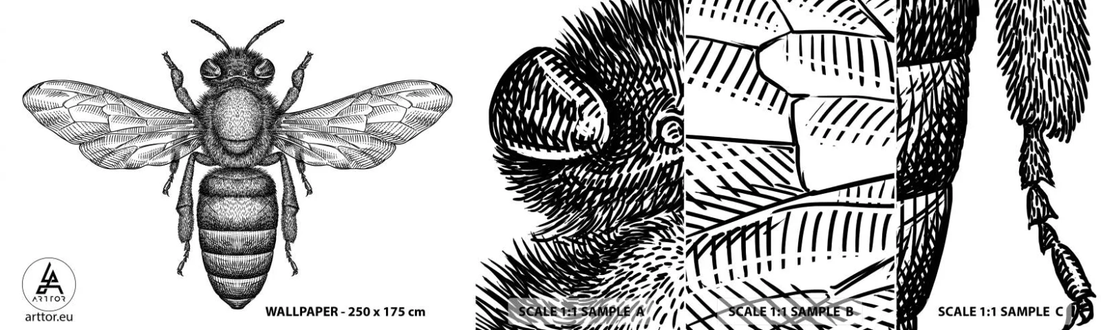 Vzorka Fototapeta Standard Eco - Hmyzí portrét - Bee, Hmyz, Minimalistický - 100x30 cm