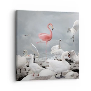 Obraz na plátne - Kde som sa tu vzal? - 30x30 cm