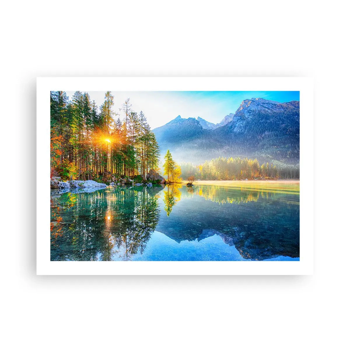 Plagát - Majestát a sladkosť - 70x50 cm