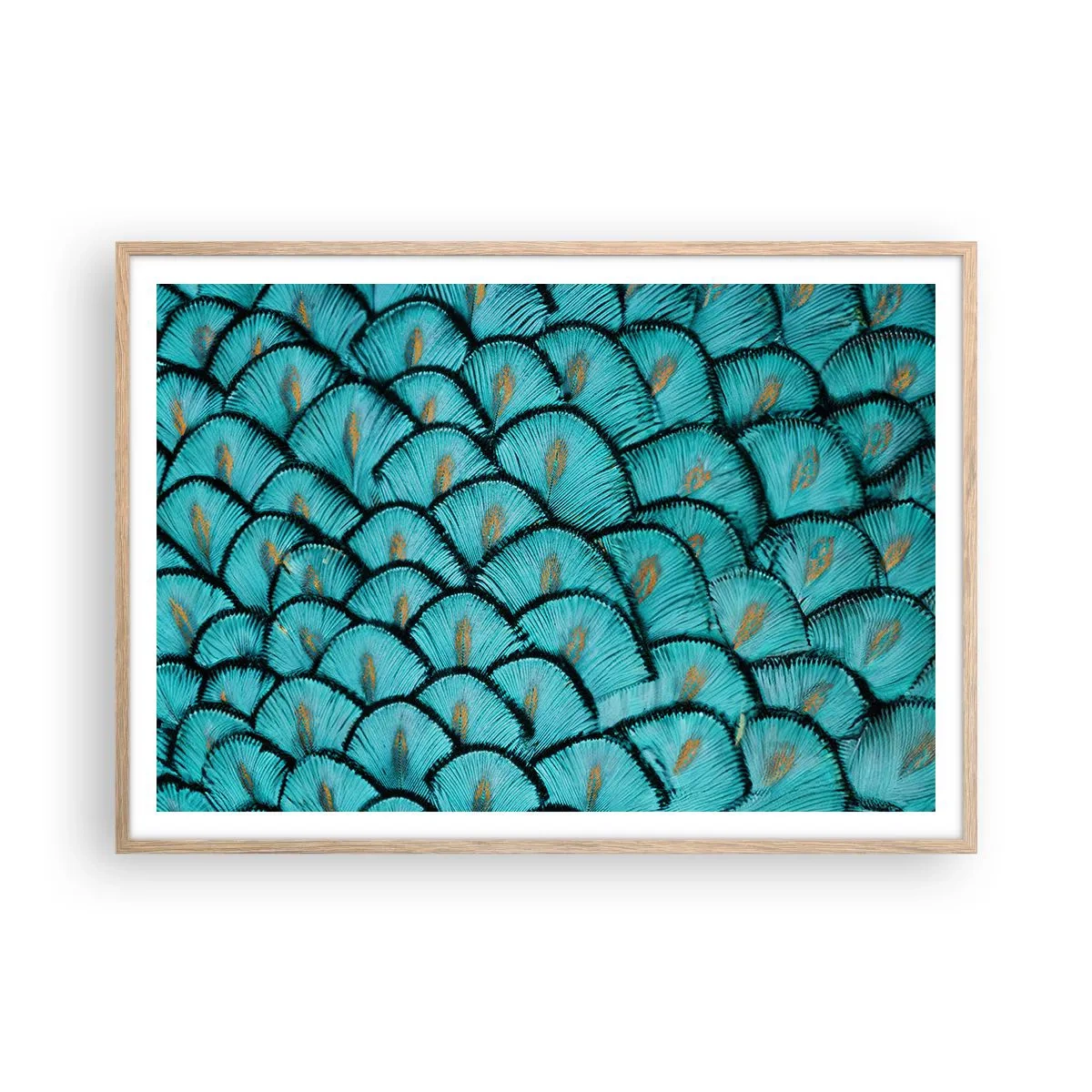 Plagát v ráme zo svetlého duba - Veľká slávnosť peria - 100x70 cm